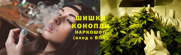 ешки Алзамай