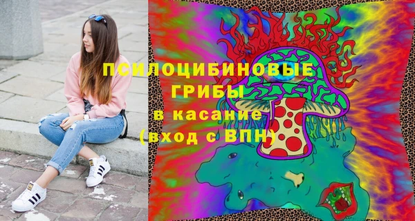 ПСИЛОЦИБИНОВЫЕ ГРИБЫ Алексеевка